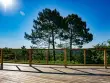 Une terrasse suspendue au-dessus de la forêt