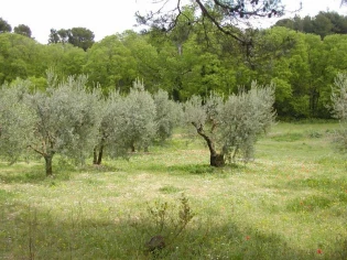 L'environnement, un sujet ancré dans les esprits