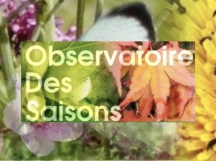 Observez votre jardin pour le bien-être de la planète