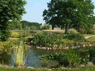 Les Français rêvent d'un jardin vert et potager