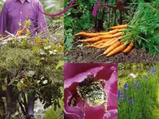 Jardinez écologique !