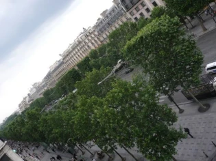 Les rues les plus chères du monde