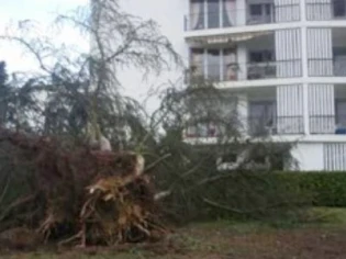 Tempête : le point sur la situation et conseils pratiques