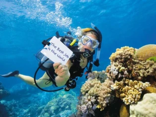 Gardien d'une île : Deux Français parmi les finalistes