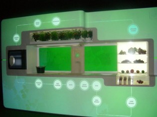 "Green kitchen", un concept de cuisine écologique