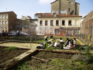 Jardins partagés, les raisons du succès