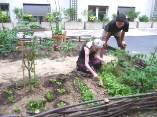 Le jardin, un allié contre le cancer