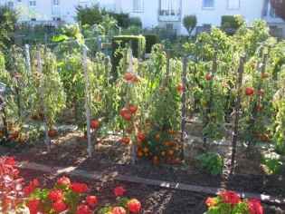 Palmarès 2009 du concours national des jardins potagers