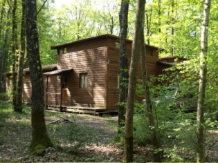 Un cocon familial au coeur de la forêt