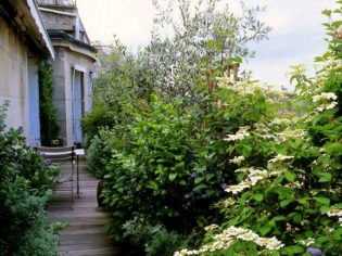 Aménager un jardin sur son balcon