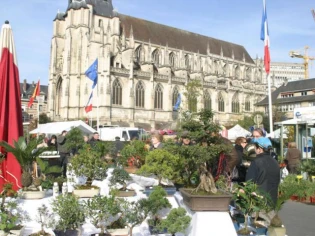 Lisieux et le végétal : cinq siècles de passion