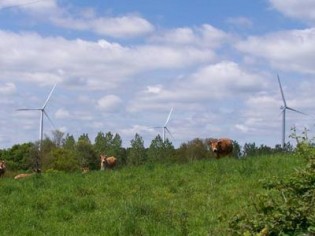 Le parc éolien français gagne en puissance 