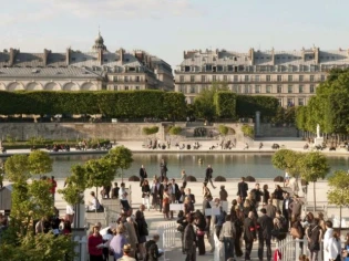 Le végétal à l'assaut des Tuileries