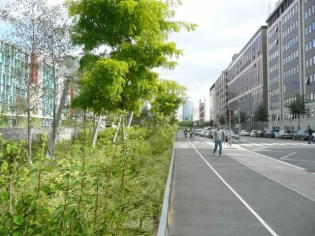 Des terrasses pour réunifier Nanterre