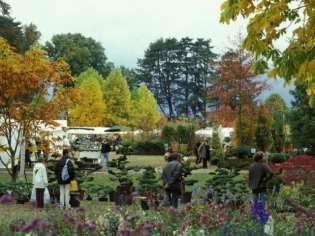 Plantes en fête à Courson