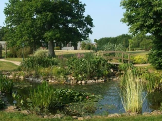 Espaces verts : Les paysagistes défendent la biodiversité