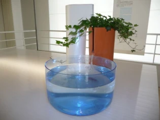 L'eau, source fertile d'inspiration pour les designers