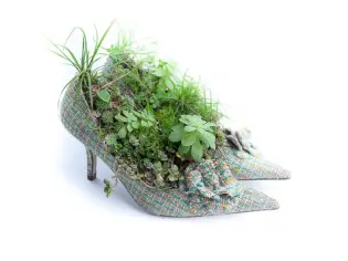 Des mini-jardins dans des chaussures