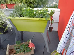 Fleurir son balcon : coup d'oeil sur les nouveautés