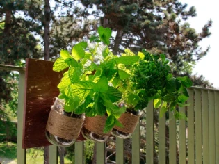 Créez votre mini potager aromatique 