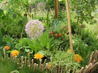 Dix mini jardins imaginés par des stars !