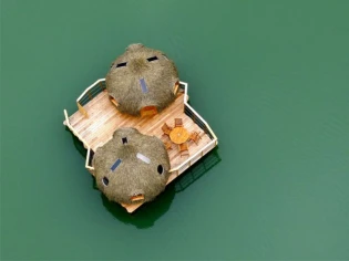 Un domaine où les cabanes flottent sur l'eau et poussent dans les arbres 