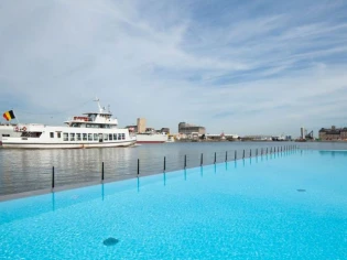 Une piscine géante filtrée par un champ de roseaux 