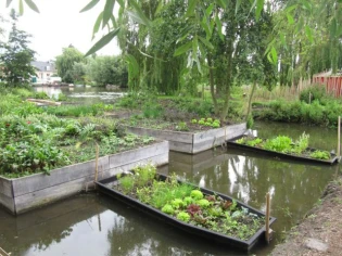 Des jardins potagers exemplaires