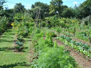 Jardiner sans pesticide, c'est possible !