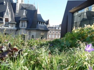 Tout n'est pas permis sur une toiture terrasse !