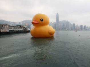 Un canard géant en plein milieu de la baie de Hong-Kong