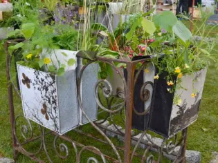 Des idées pour le jardin urbain du futur