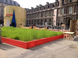 Un gigantesque champ de lin en plein coeur de Paris