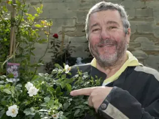 Une rose baptisée du nom de Philippe Starck