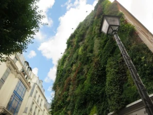 L'oasis d'Aboukir, un mur végétal de 250 m2 en plein coeur de Paris