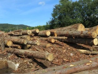 L'engouement pour le chauffage au bois ne se dément pas