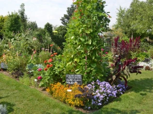 Des potagers remarquables en diversité et en originalité