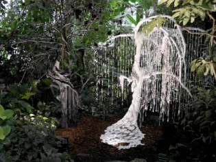 Le Jardin des Plantes invite à un mariage d'un autre genre