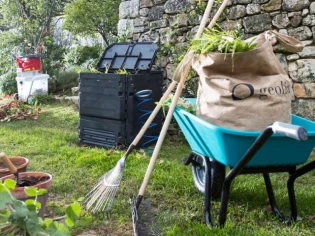 Les plantations en janvier : tout ce qu'il faut savoir