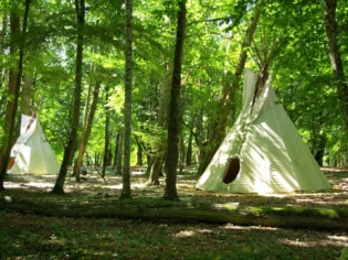 Loi Alur : un nouveau cadre légal pour les habitats alternatifs