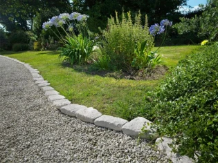 Idées pour embellir et structurer son allée de jardin