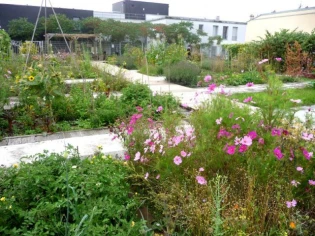 Un jardin solidaire sur un toit parisien 