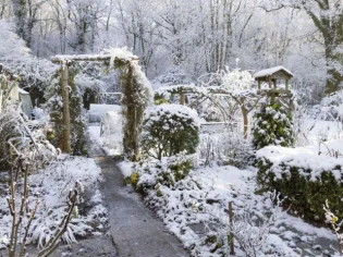 Gel, neige, inondations : conseils pour sauver son jardin des intempéries