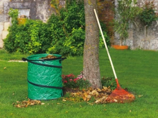 Jardinage d'automne : Opération anti-feuilles mortes 