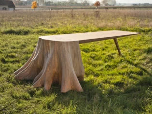 Insolite : Une table qui prend racine