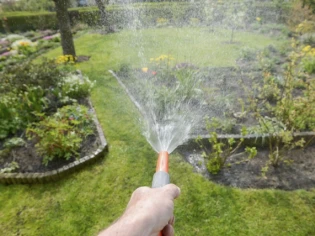 Jardin : les Français plébiscitent la convivialité