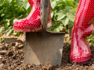 3,2 millions de Français ont fait appel à un professionnel pour aménager leur jardin