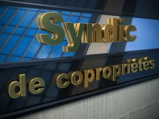 Copropriétaires/syndic : le manque de réactivité des professionnels toujours pointé du doigt