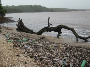 Des déchets plastiques pour faire des stores pour nos maisons