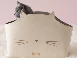 Maisons du monde lance une gamme d'accessoires pour les animaux 